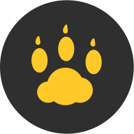 云猫玩app