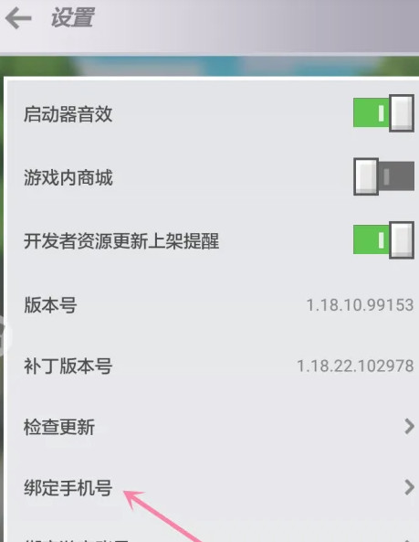 我的世界在哪里绑定手机号码2026