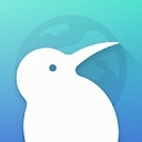 KiwiBrowser中文版下载