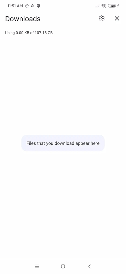 KiwiBrowser中文版下载 第2张截图